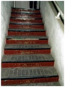 Before: condition of the existing stair prior to construction